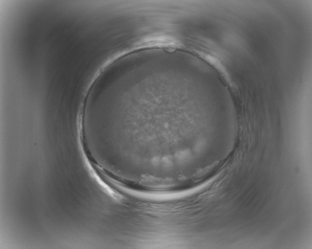 X0000069411383200605121230