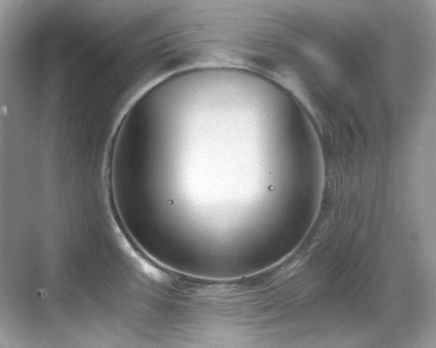 X0000069411387200605121230