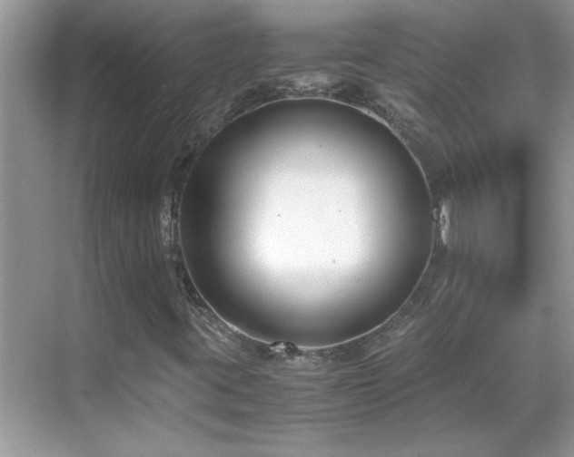 X0000069411395200605121229