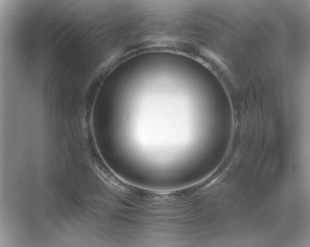 X0000069411403200605121229