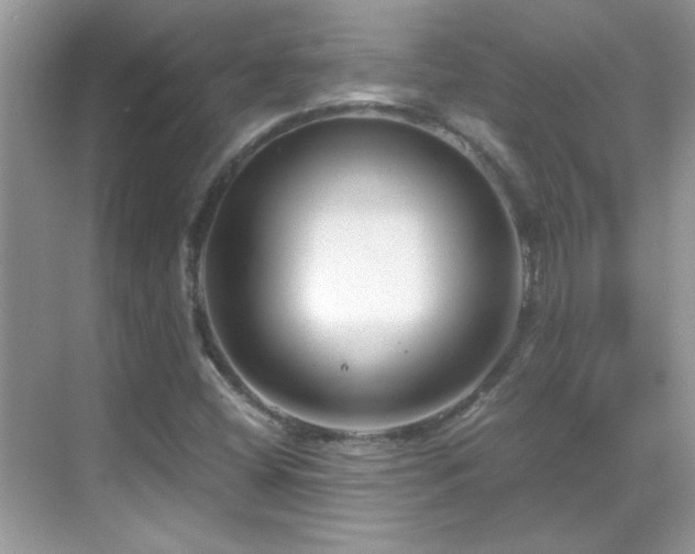X0000069411404200605121229