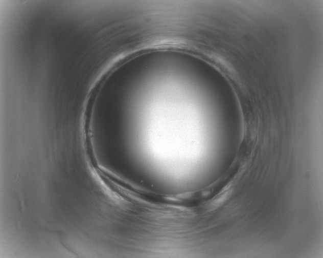 X0000069411422200605121229