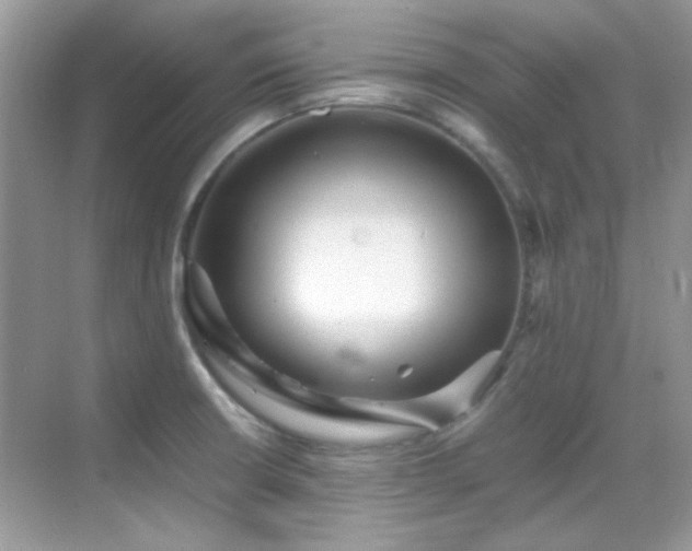 X0000069411426200605121229