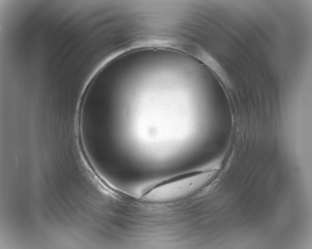 X0000069411436200605121230