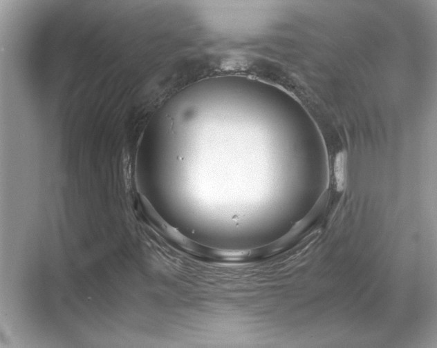 X0000069411443200605121229