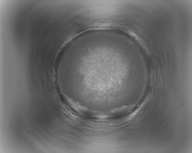 X0000069411449200605121229