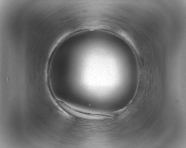 X0000069411477200605121228