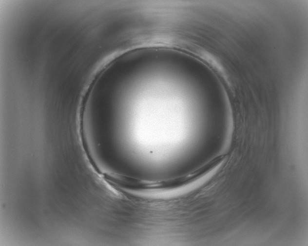 X0000069411480200605121228
