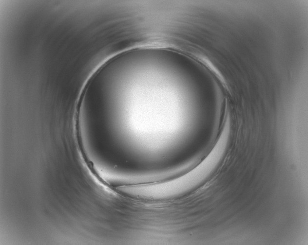X0000069411484200605121228
