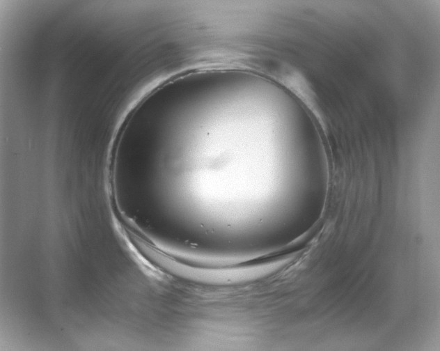 X0000069411485200605121228