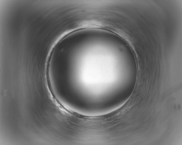 X0000069411488200605121228