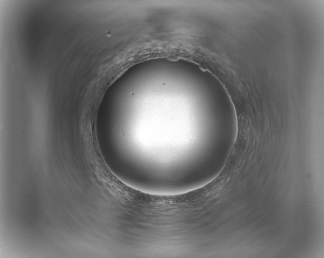 X0000069411489200605121227