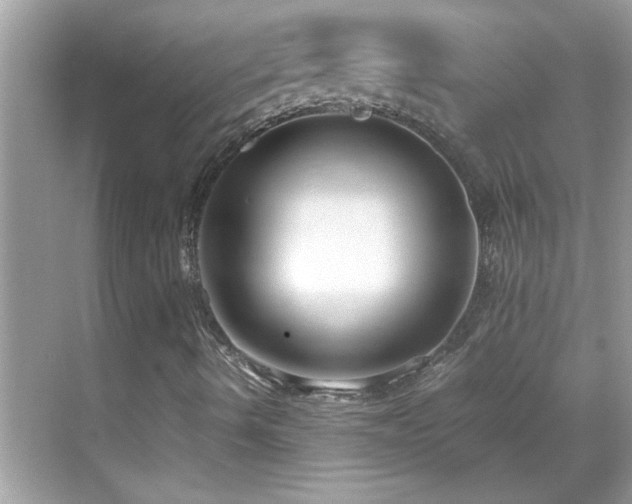 X0000069411490200605121227