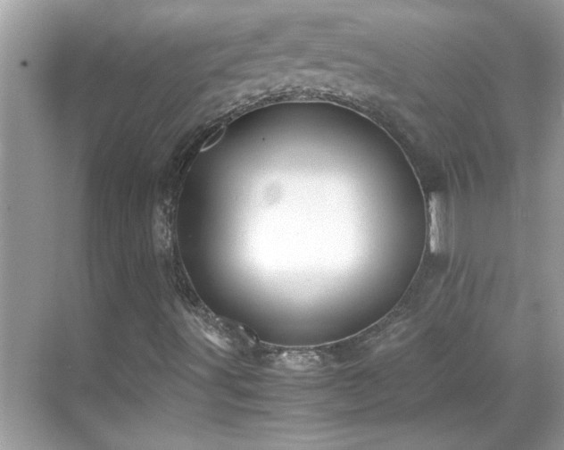 X0000069411491200605121227