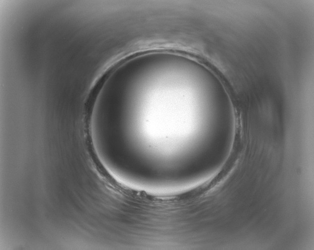 X0000069411501200605121227