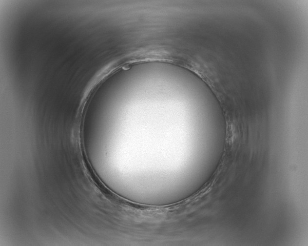 X0000069410004200605151056