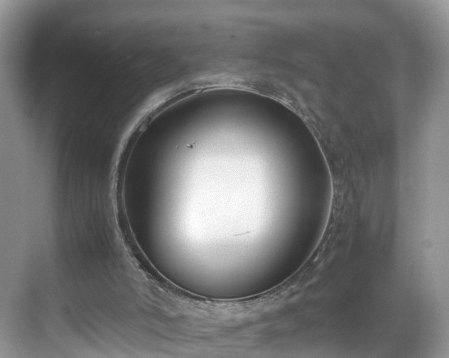 X0000069410006200605151056