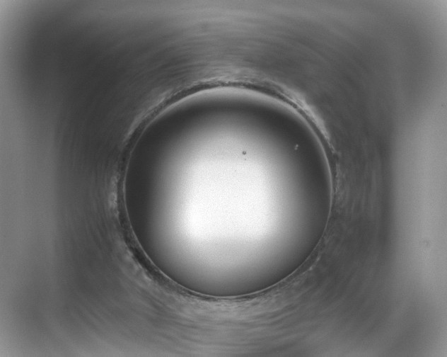 X0000069410010200605151056