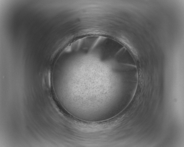 X0000069410014200605151056