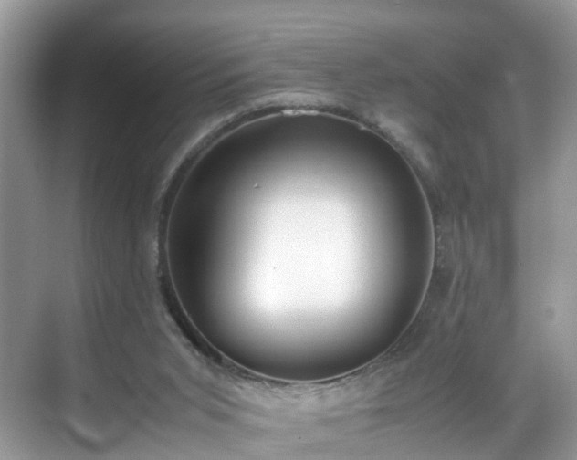 X0000069410015200605151056