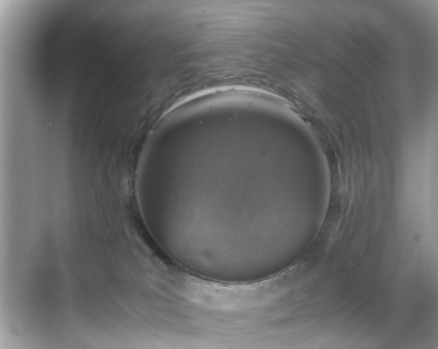 X0000069410039200605151056