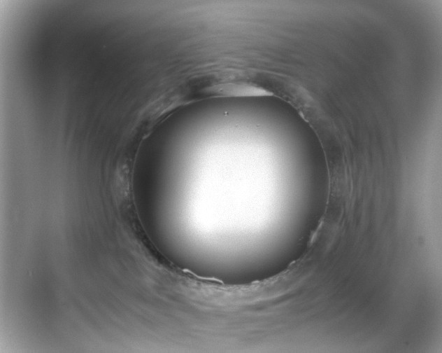 X0000069410043200605151056