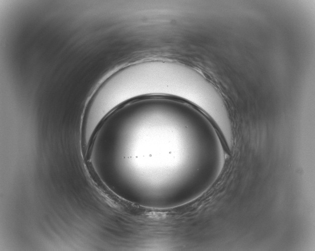 X0000069410052200605151055