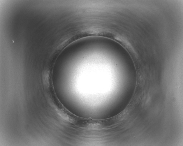 X0000069410066200605151055