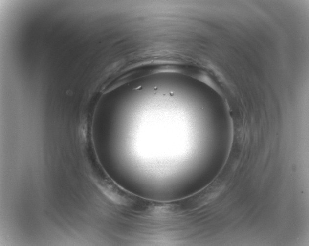 X0000069410072200605151055