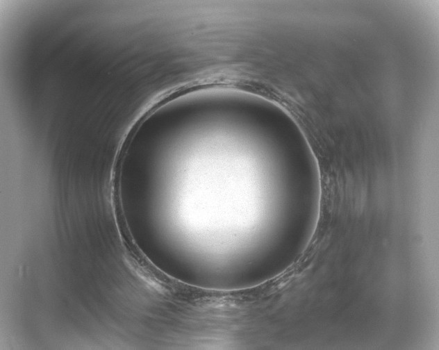 X0000069410100200605151055