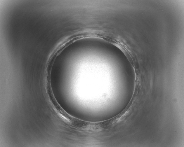 X0000069410101200605151055