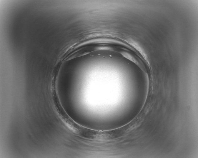 X0000069410105200605151055