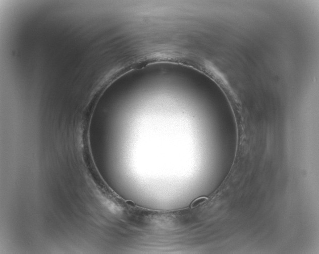 X0000069410106200605151055