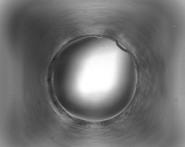 X0000069410107200605151055