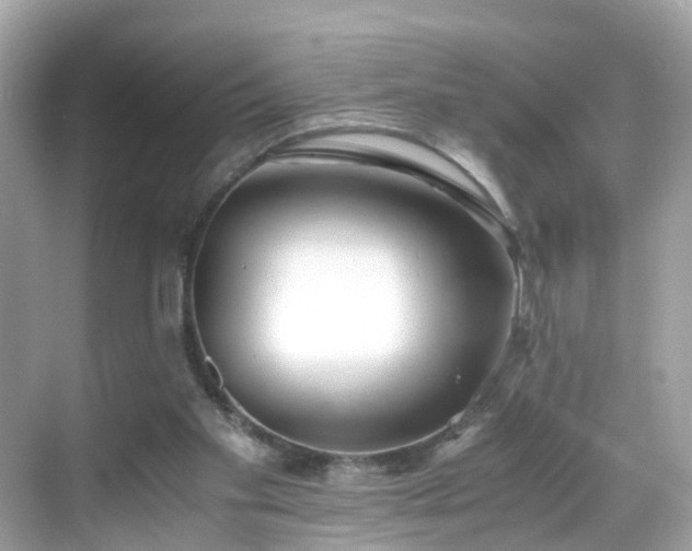 X0000069410109200605151055