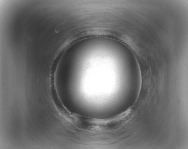 X0000069410111200605151055