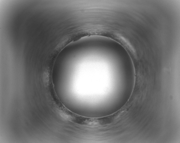 X0000069410113200605151055