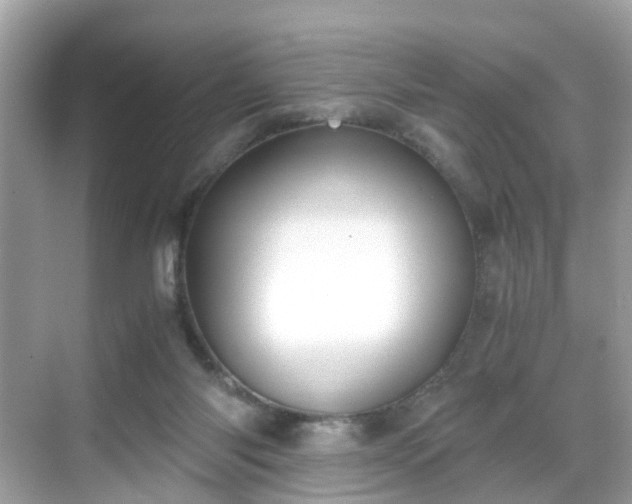 X0000069410118200605151054