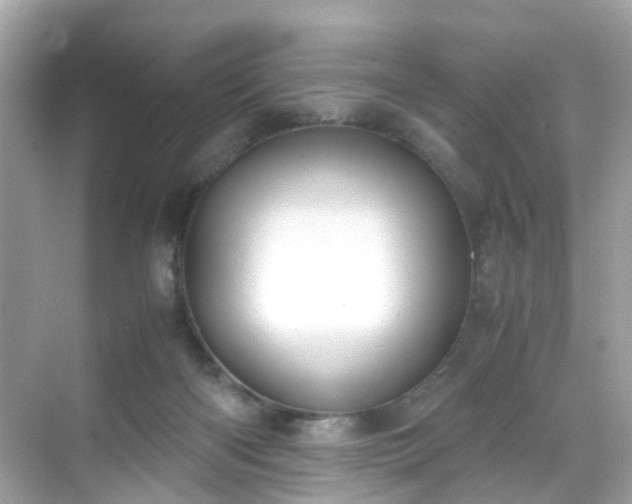 X0000069410122200605151054