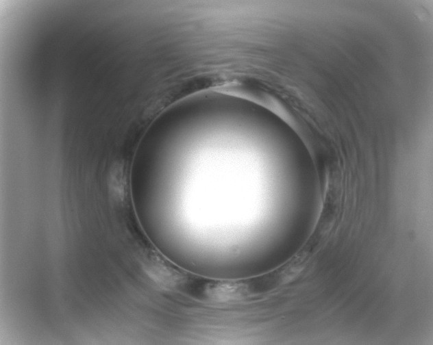 X0000069410129200605151054