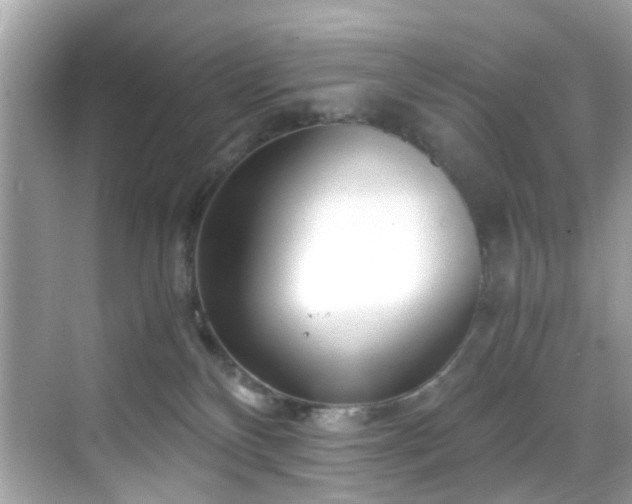 X0000069410136200605151054