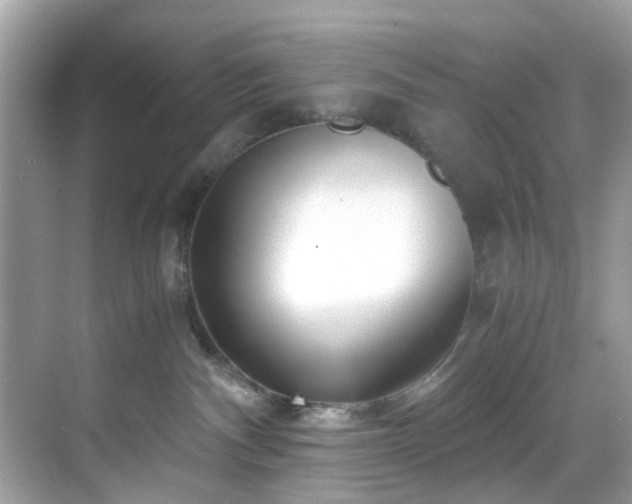 X0000069410140200605151054
