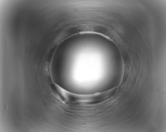 X0000069410141200605151054
