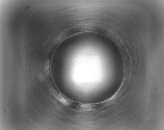 X0000069410144200605151054