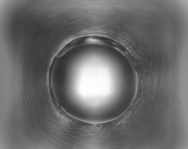 X0000069410148200605151053