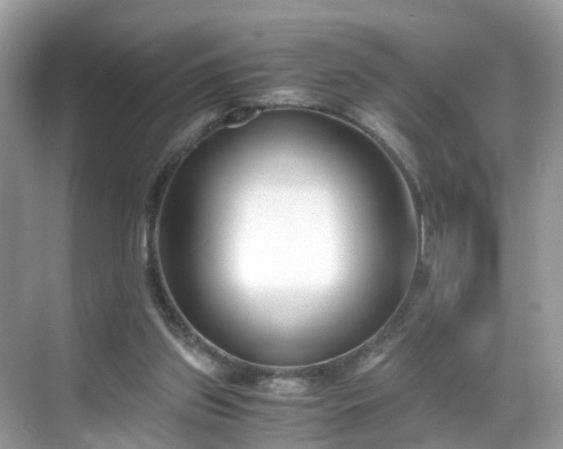 X0000069410157200605151053