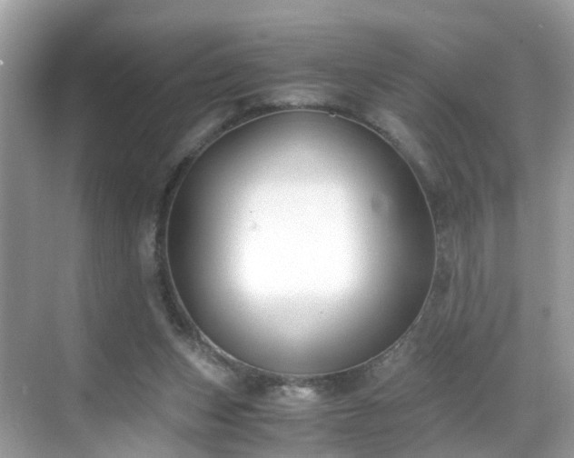 X0000069410159200605151053