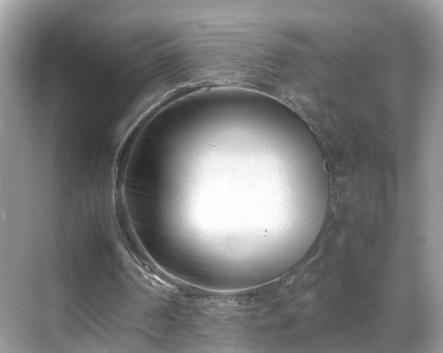 X0000069410194200605151053