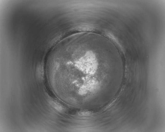 X0000069410202200605151053
