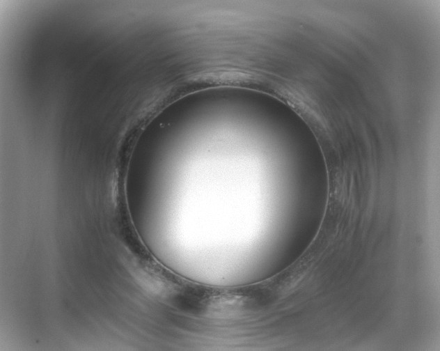 X0000069410206200605151053